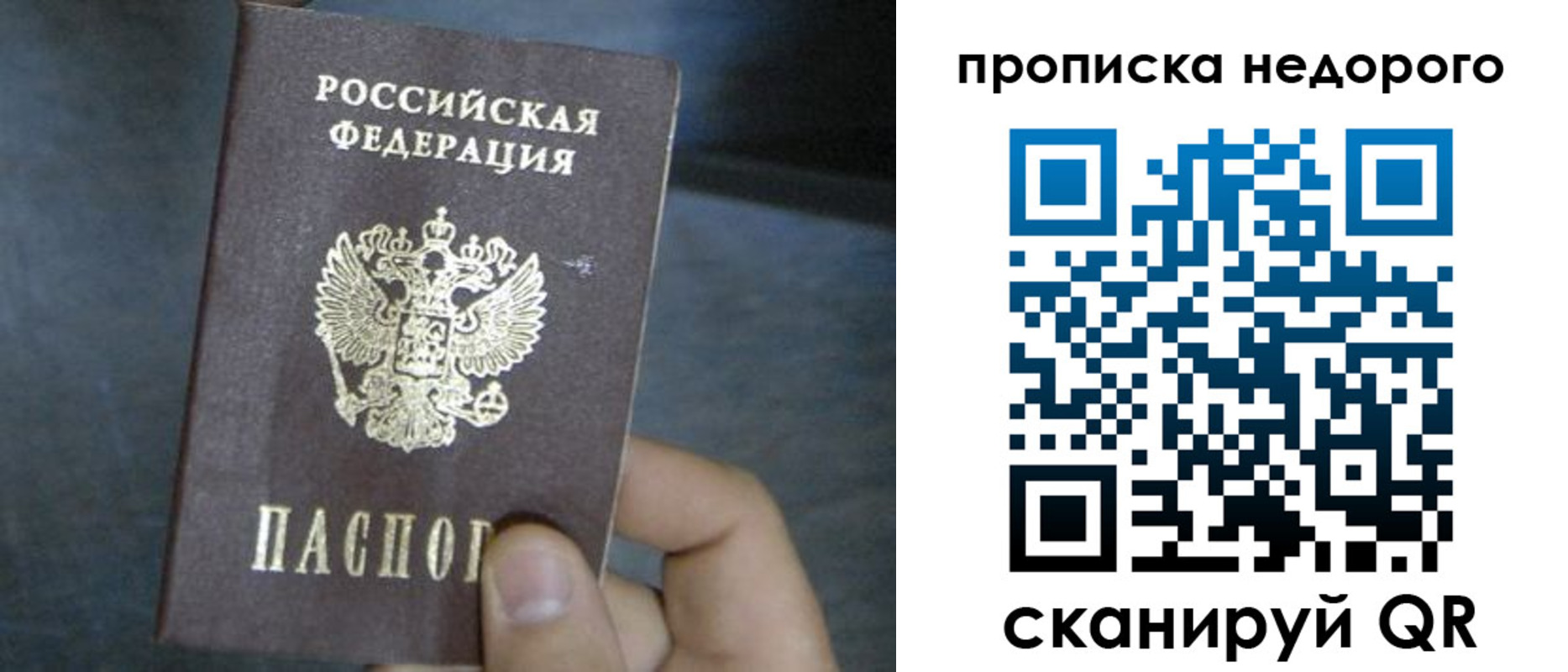 прописка ребенка в Жуковском